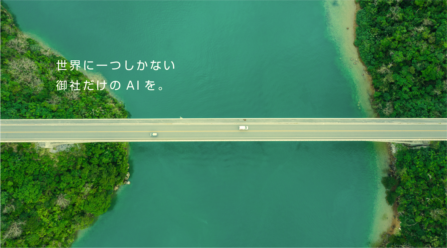 image_3_20250312221139695.png
